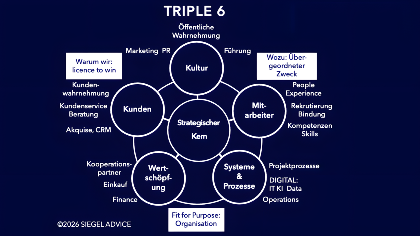TRIPLE6 von SIEGEL ADVICE der praktische Framework für strategische Unternehmensführung